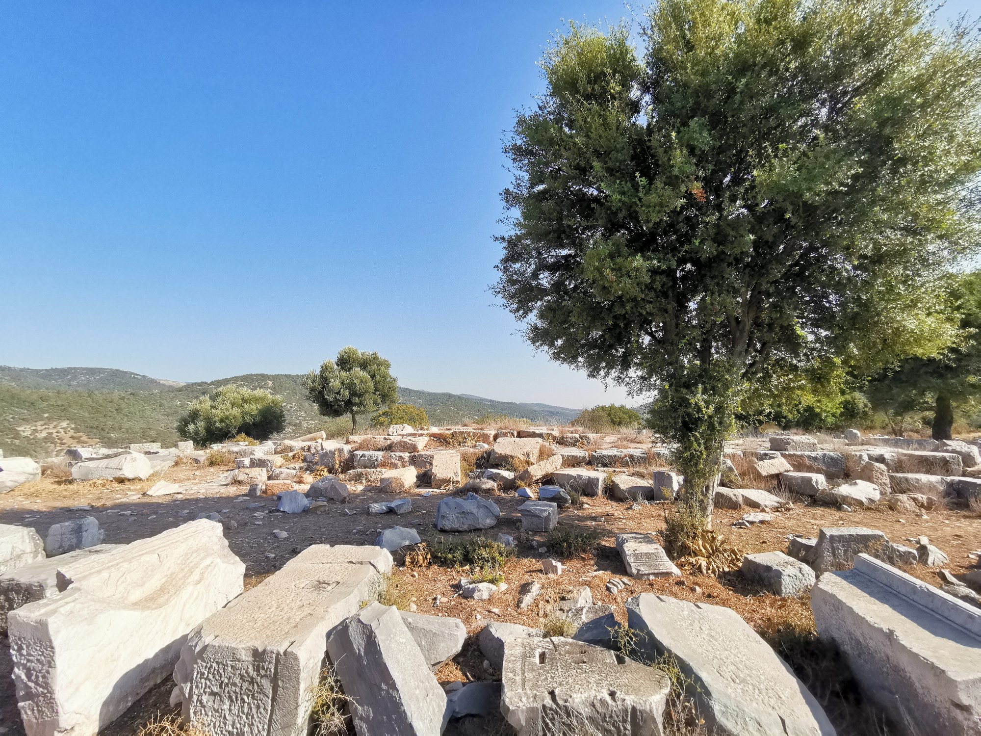 Temple of Athena in Notion, July 2025