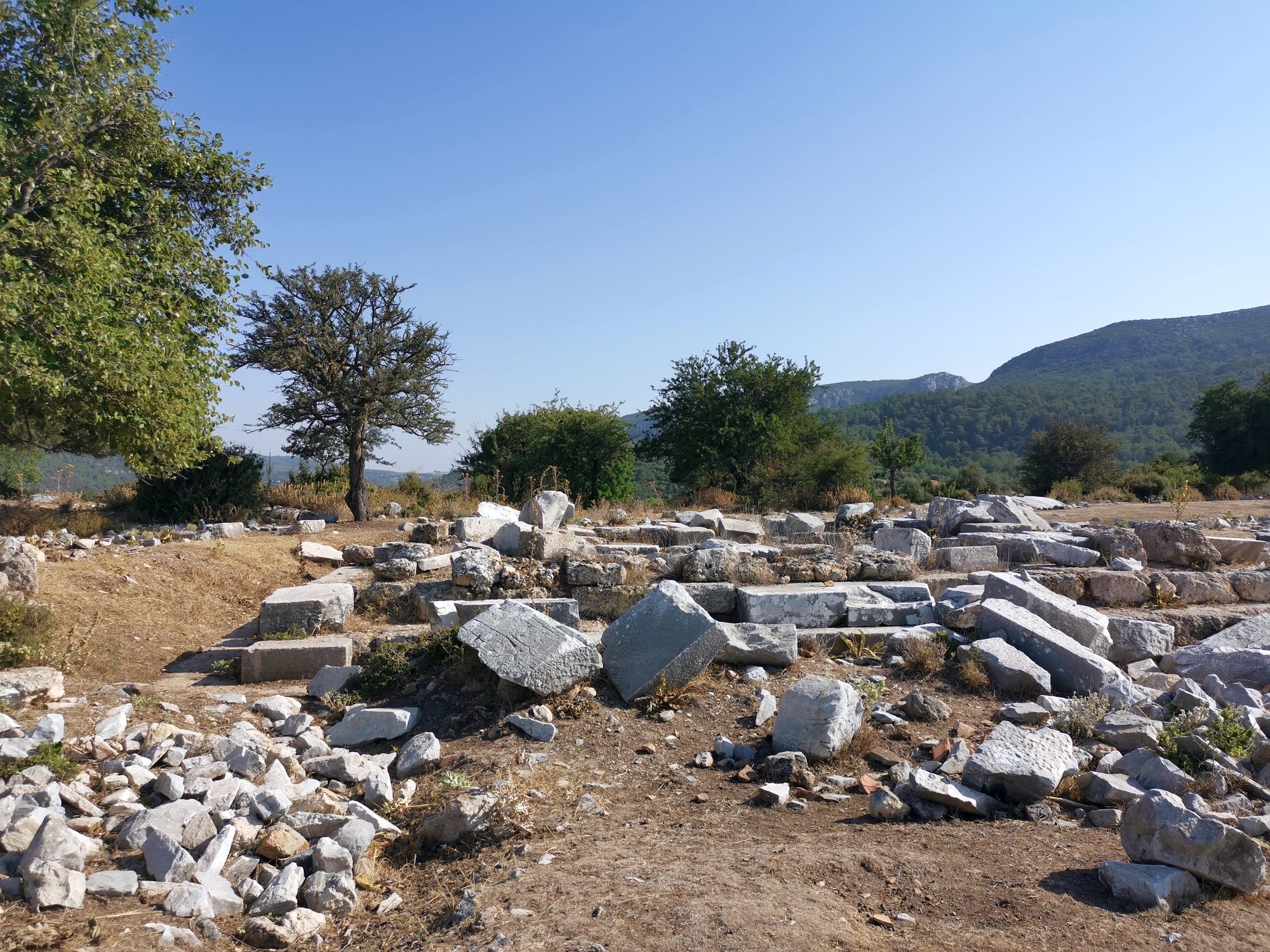 Temple of Athena in Notion, July 2025