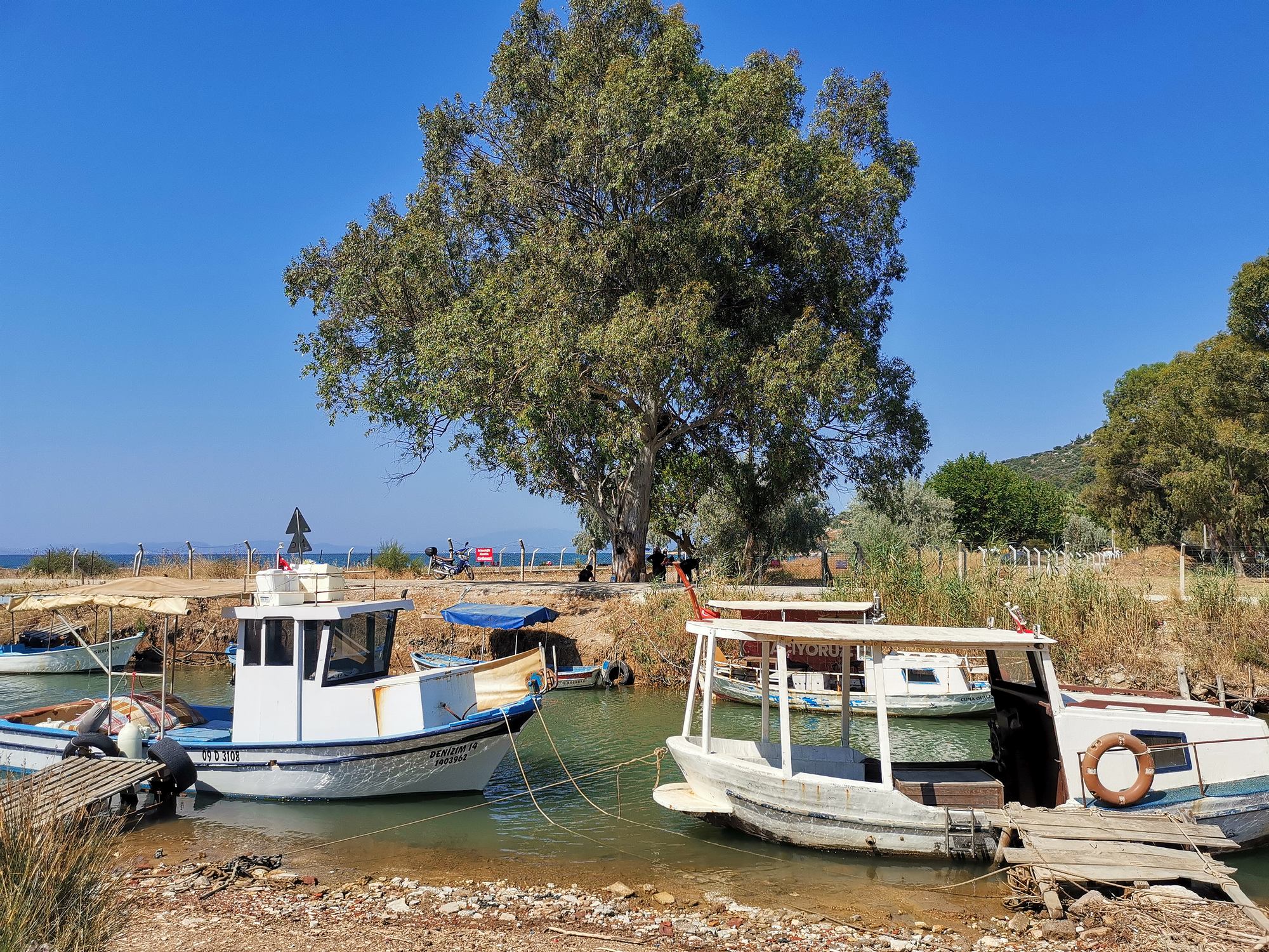 The stream known as the Hales River and the area of recent archaeological excavations on the bank opposite Notion ruins, July 2025