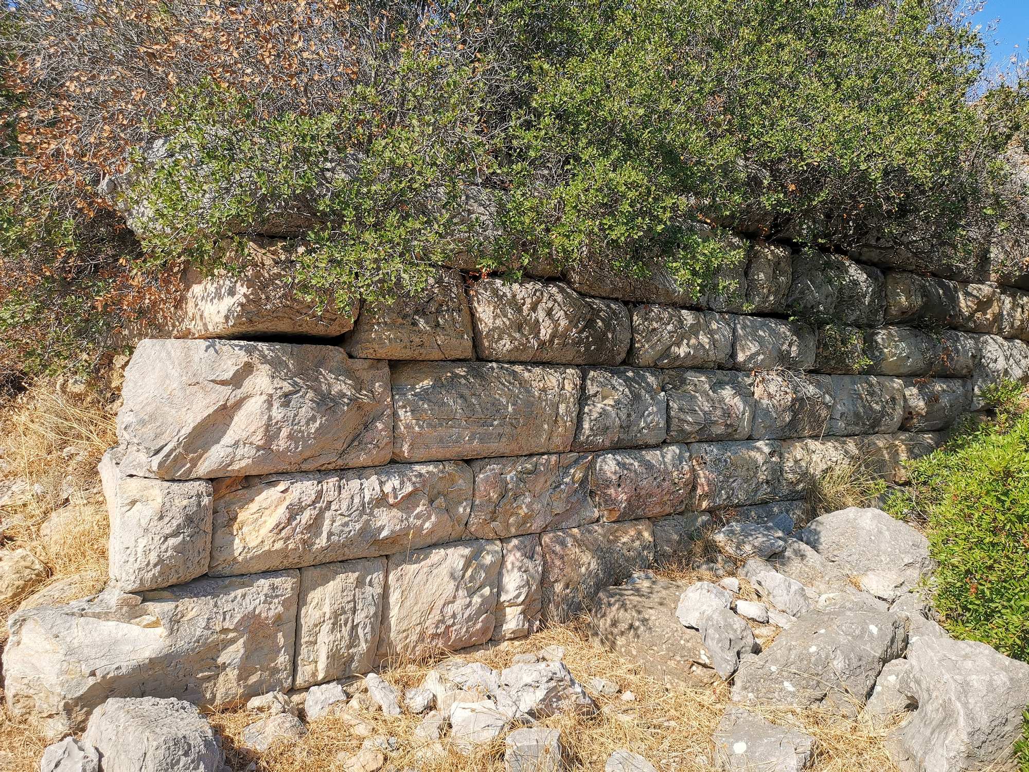 Fortification wall of Notion on the eastern hill, July 2025