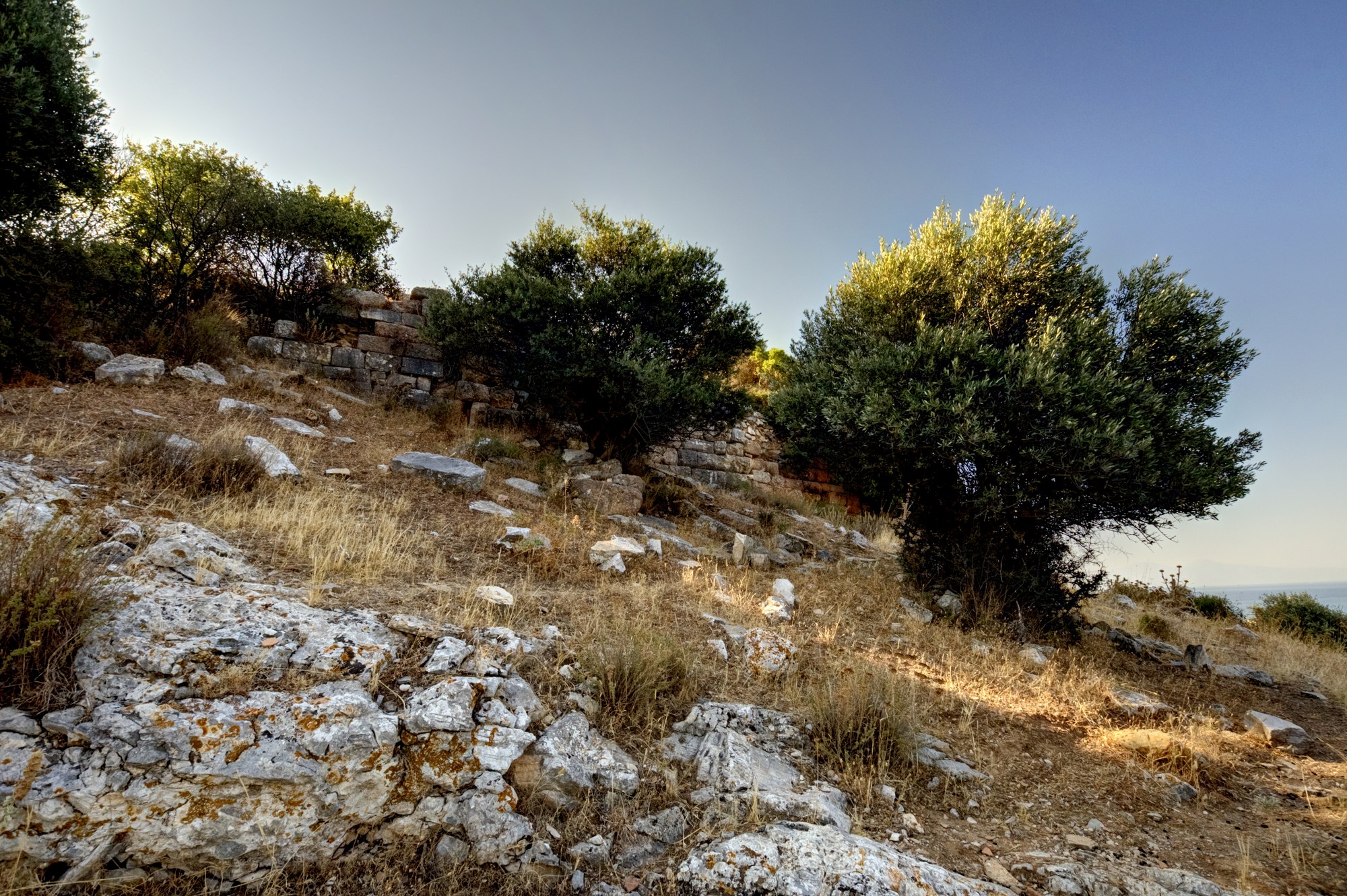 Fortification wall of Notion near the summit of the western hill, July 2025