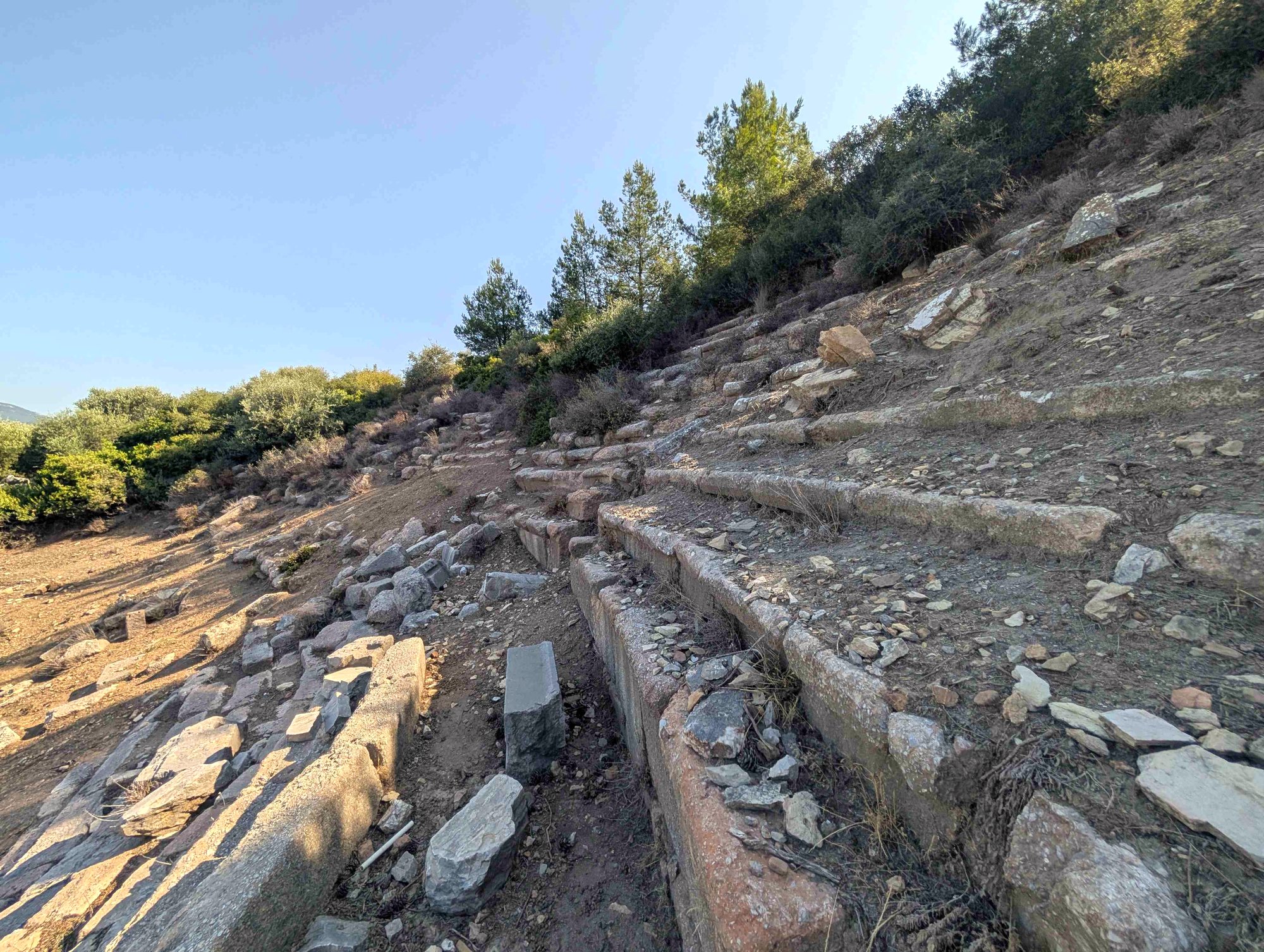 Theatre of Notion, July 2025