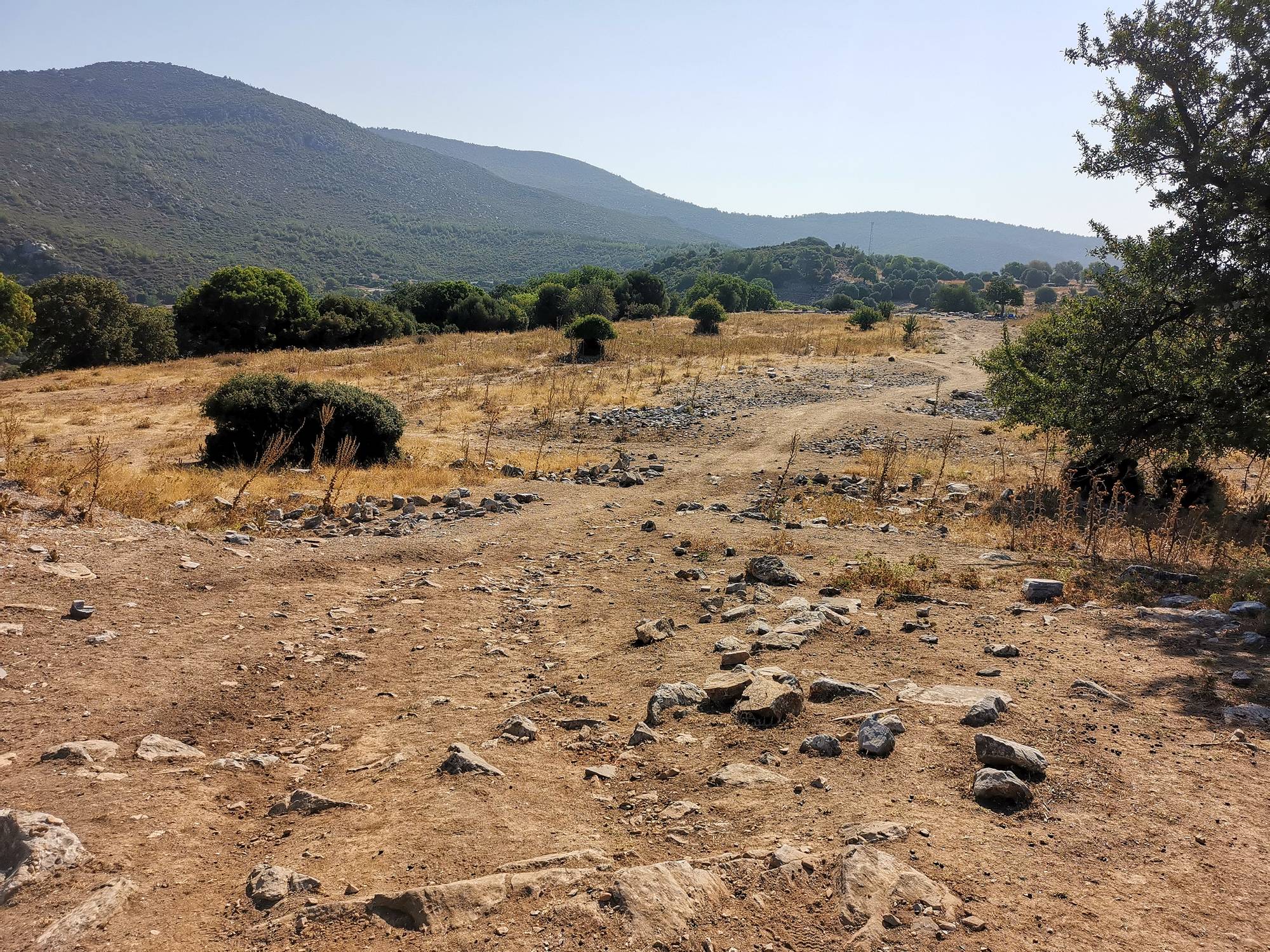 The paths leading through the archaeological site of Notion, July 2025