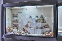 Finds from Kilisetepe