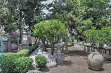 Museum garden exhibition