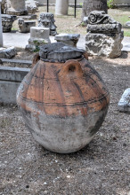 Museum garden exhibition