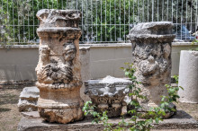 Museum garden exhibition