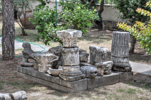 Museum garden exhibition