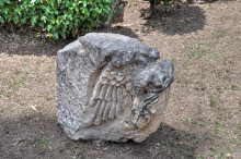 Museum garden exhibition