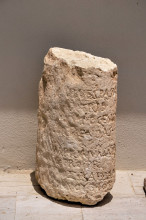 Museum garden exhibition