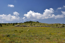 District of Temples in Hattusa